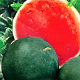 Арбуз  Ультраранний