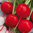 Редис Кардинал F1 Редис Кардинал F1